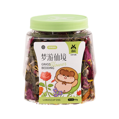 宠尚天花草垫料金丝熊造景可食用