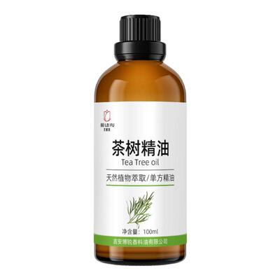 澳洲茶树精油单方植物香薰精油