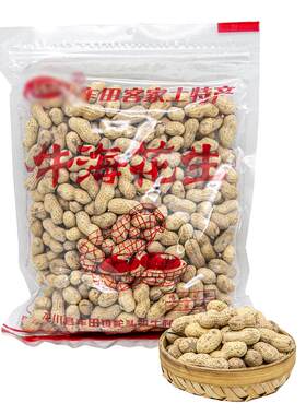 河源特产车田牛海花生