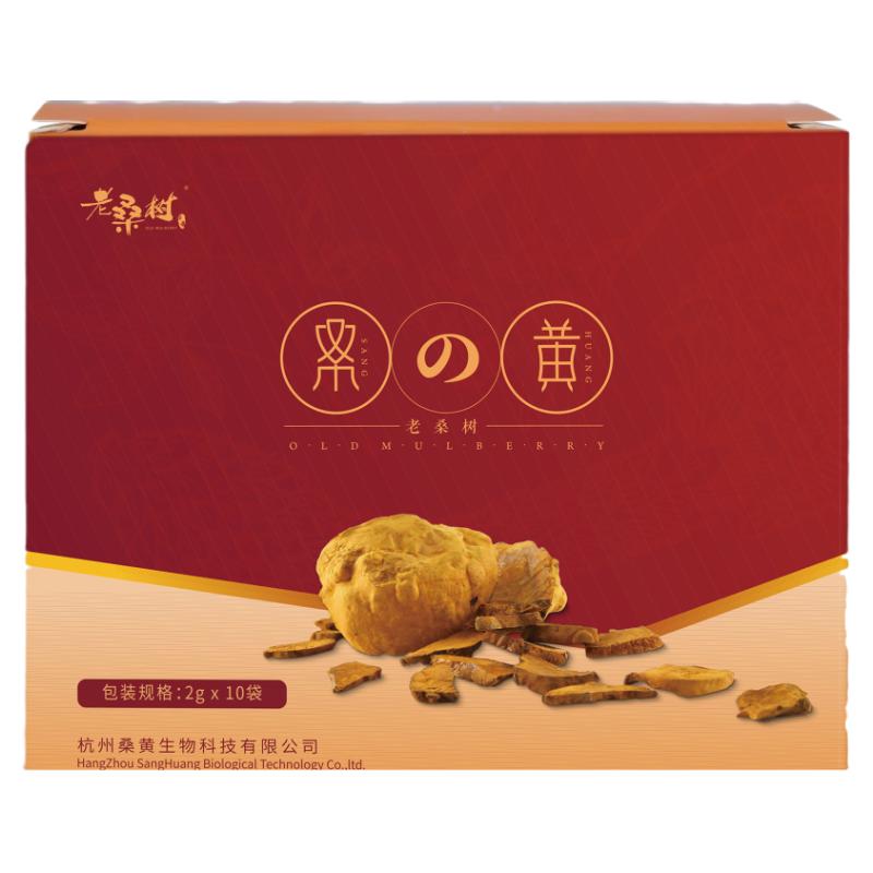 正宗桑树桑黄农科院出品