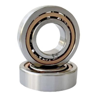 哈尔滨丝杆轴承 BS1747-2047-2562-3062-3572-4072-4090-50100/P4