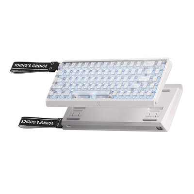 迈从Ace68V2/60Pro磁轴键盘