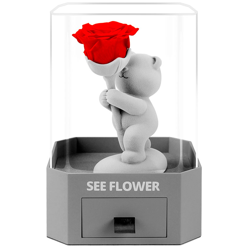 永生花丘比特之箭表白小熊