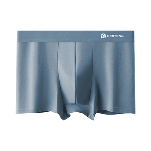 芬腾男士内裤男款纯棉四角裤衩男生全棉抗菌裆透气高端平角短裤头