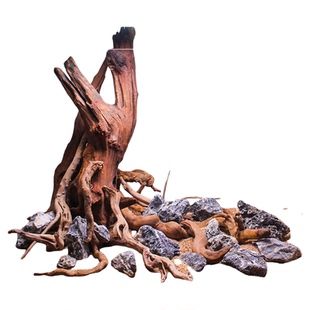鱼缸造景生命之树沉木骨架树桩水族箱原生缸造景套餐树根成品木头