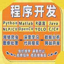 python代做编程matlab代码帮跑通深度学习机器R语言yolo算法覆现