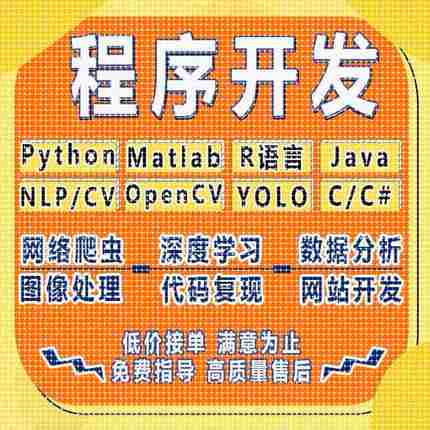 python代做编程matlab代码帮跑通深度学习机器R语言yolo算法覆现