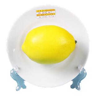 新版医院宣教中国居民膳食营养食物模型交换份仿真食物交换份模型