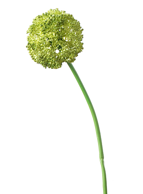仿真葱球果长杆假花绿植装饰摆件