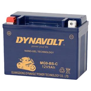 铃木骊驰GW250 GSX250摩托车免维护蓄电池黄龙300/600电瓶12Ⅴ9A