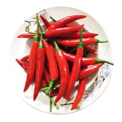 四川小米辣椒羚森堂四川小米椒