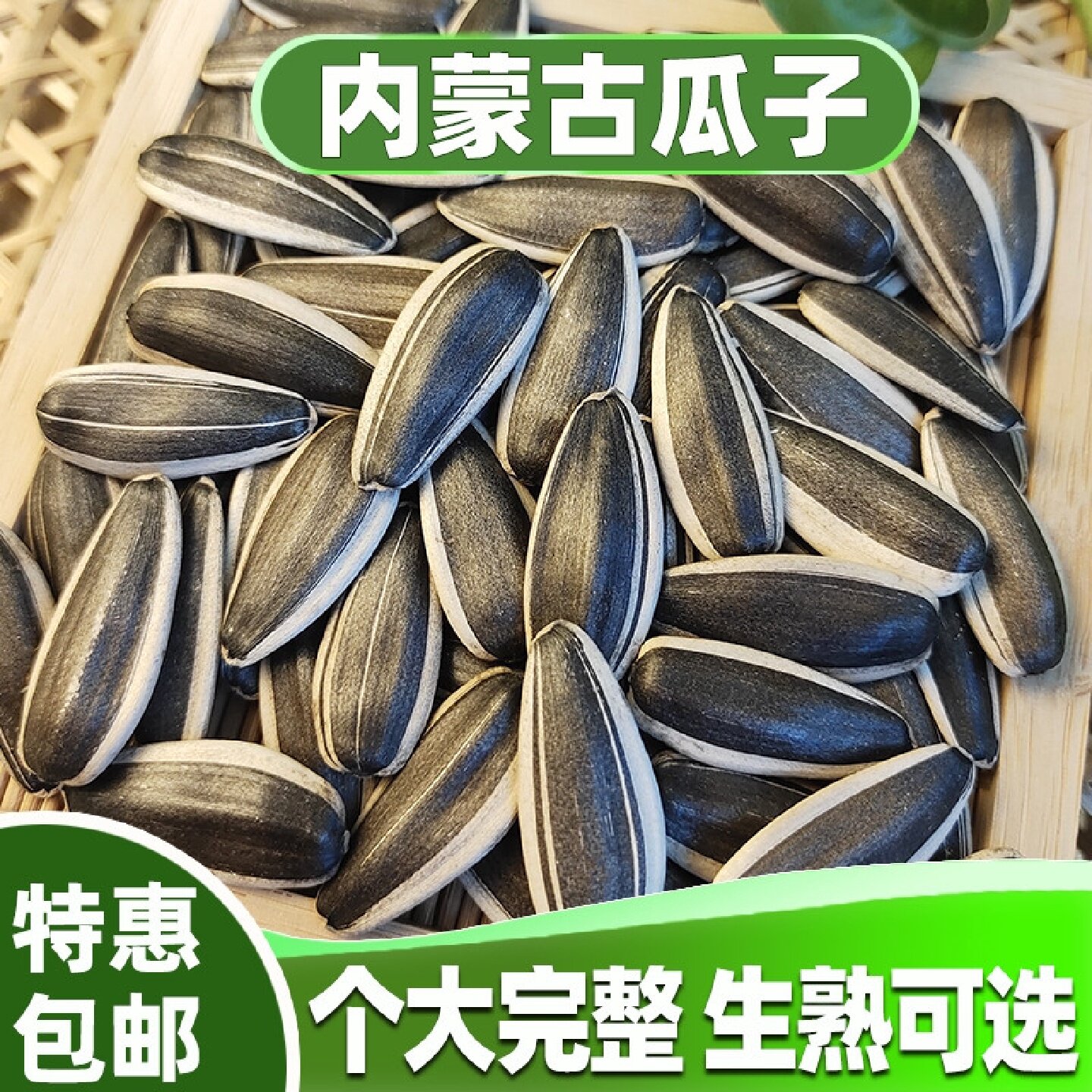 三龙源新生瓜子葵花籽新货新疆葵花籽大颗粒优质瓜子南瓜子新鲜炒