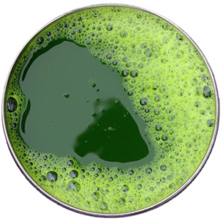 麦青汁麦苗汁25kg青团专用青苗汁麦草汁青团水艾草清明果青团原料