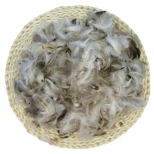 水洗2-4灰鸭毛片用于沙发枕芯床垫厂家清洁无异味直销家用填充物