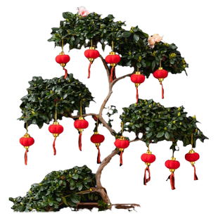 迷你装饰品植绒小灯笼挂饰2026新款新年2026大红院子绿植树上挂件