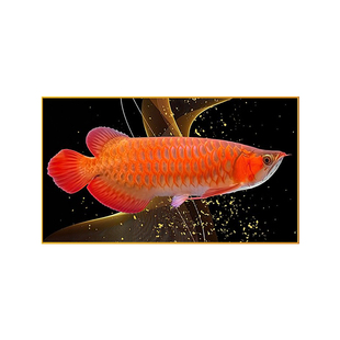 金龙鱼招财装饰画餐厅吃饭厅横版挂画大气龙鱼晶瓷画餐桌单幅壁画