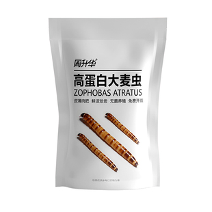 无菌活体大麦虫活虫鲜活面包虫大号黄粉虫金龙鱼鱼食八哥画眉鸟食