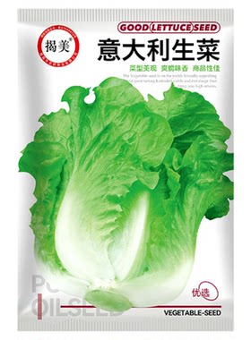 广东厂家原装菜种子大全一百多种