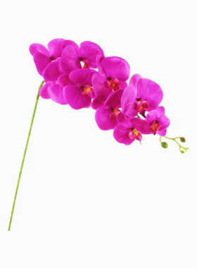 高仿真手感蝴蝶兰花假花婚庆花束茶几卧室花装饰花艺单支插花摆件