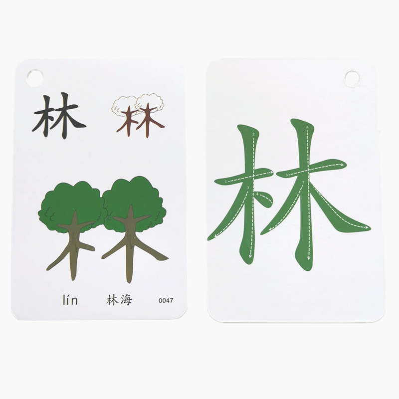 识字卡片学龄前全脑记忆启蒙字卡片幼儿园早教有图3-6岁认字象形