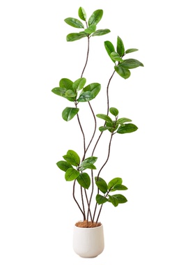 仿真绿植橡皮树假植物客厅