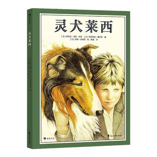 【赠导读手册】灵犬莱西 浪花朵朵童书 7岁以上小学初中经典名著阅读书目 世界经典动物小说改编彩图绘本版一只牧羊犬的归家路
