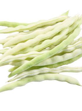 蔬菜九粒白芸豆四季种子
