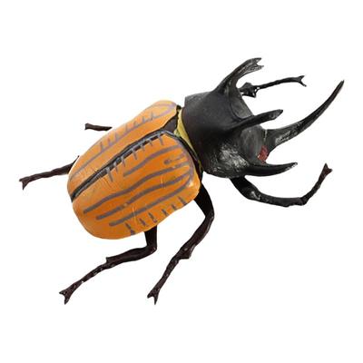 仿真动物模型儿童玩具楸型甲虫昆虫独角仙大兜虫金龟认知宝宝早教