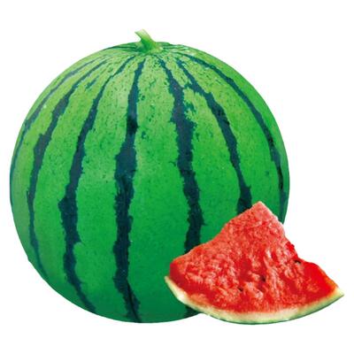 8424麒麟无籽西瓜高产四季