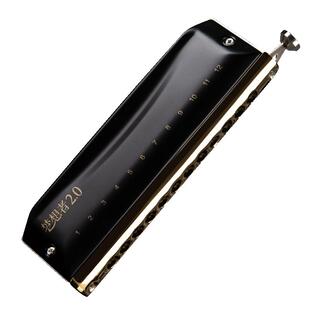 EASTTOP东方鼎半音阶口琴专业演奏12孔c调入门学生初学梦想者2.0