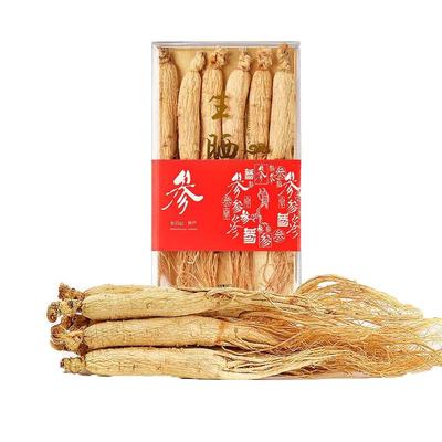 吉林野山参生晒特大参长白山500g