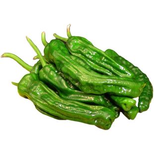 薄皮辣椒青椒新鲜蔬菜农家自种现摘精品多斤装批发绿色无添加包邮
