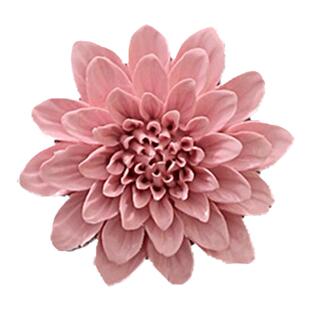 陶瓷花墙饰挂饰壁饰创意客厅卧室墙壁电视背景墙面立体墙上装饰品