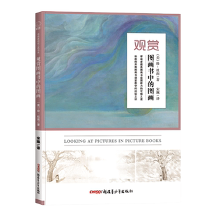 观赏图画书中的图画 课堂教学研究工具阅读书艺术史插画审美珍杜南阿甲熊亮 儿童幼儿园教师园长绘画爱好者 新疆青少年出版社