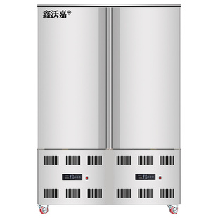 零下40度商用速冻柜速冻机小型急冻冷柜商用大型风冷无霜低温冰箱