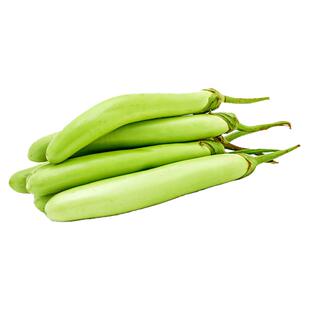 翡翠青长茄种子种籽绿皮绿色青茄子苗秧早熟耐热秧苗四季菜园蔬菜