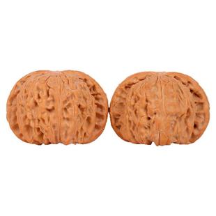 文玩核桃闷尖白狮子头手把件天然野生麻核桃男随身粗筋原色老核桃