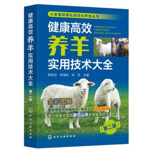 小家畜规模化规范化养殖丛书 健康高效养羊实用技术大全 第二版 波尔山羊 绒山羊小尾寒羊繁育改良 羊场建设饲养管理疾病防控书籍