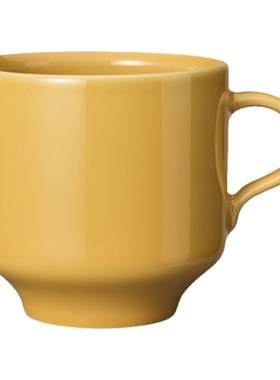 瑞典皇家品牌Rorstrand马克杯
