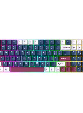 黑吉蛇DK100三模4000毫安电池