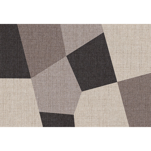 入户门地垫免洗耐脏防滑脚踏垫入户门口进门高级门垫家用新款脚垫