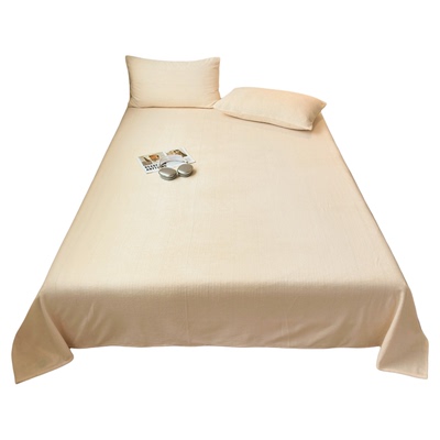 无印良品纯色加厚牛奶绒床单单件