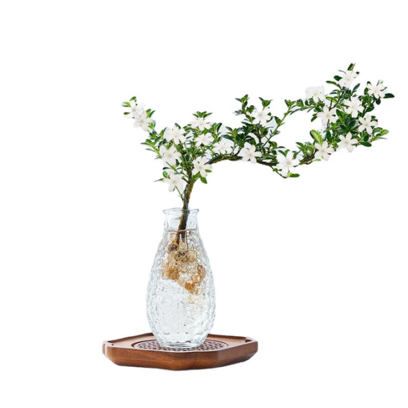 水培六月雪禅意造型小盆栽植物盆景桌面绿植好养四季常青室内花卉