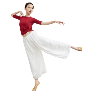 新款舞蹈服练功裤宽松飘逸雪纺阔腿裤现代舞古典民族舞演出服装