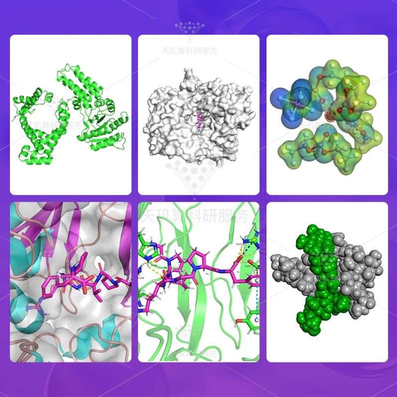 分子对接 蛋白小分子 代做Gromacs 分子动力学模拟 虚拟筛选 共价