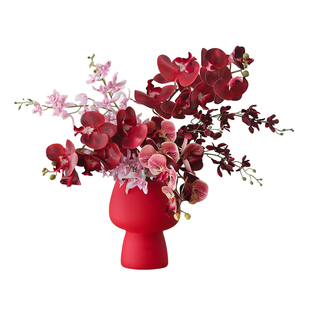 乔迁之喜新居入宅装饰开业布置摆件红色蝴蝶兰新年花束礼物年宵花