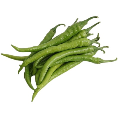 春季五彩椒辣椒种子线椒春季