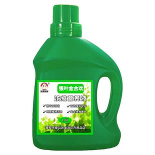 银叶金合欢树专用浓缩营养液盆栽绿植物澳洲紫叶密羽通用养花肥料