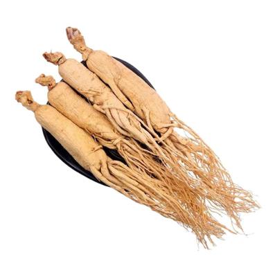 煲汤泡酒礼盒当季干货生晒参