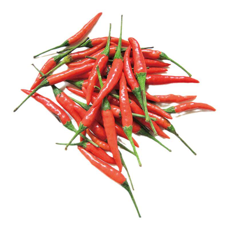 【老一生鲜】新鲜小米椒 辣椒 新鲜 朝天椒 500g
